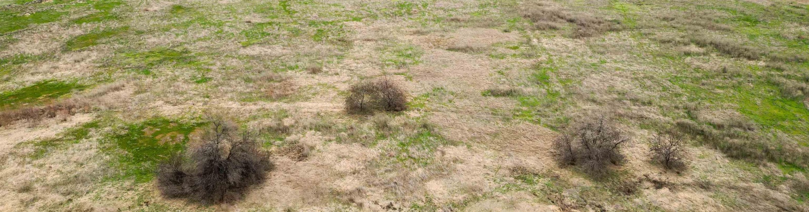 McDonald Rd, Prosser, Washington 99350, 0 , 0 ,0,Agricultural Land,For Sale,McDonald Rd,0,290649