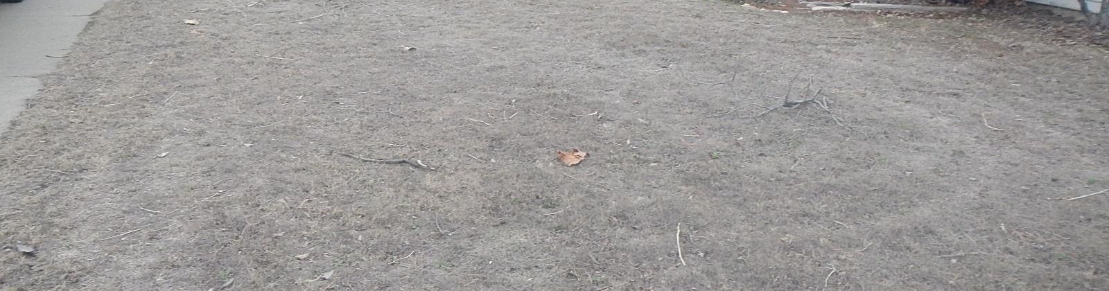 Elm Ave, Richland, Washington 99352, 3 Bedrooms Bedrooms, 0 ,1 BathroomBathrooms,Houses,For Sale,Elm Ave,0,290699