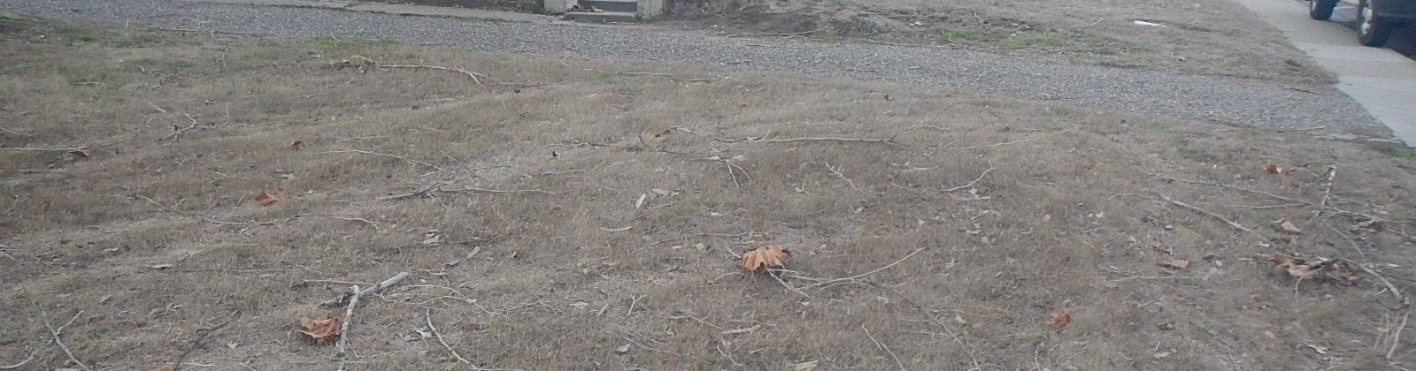 Elm Ave, Richland, Washington 99352, 3 Bedrooms Bedrooms, 0 ,1 BathroomBathrooms,Houses,For Sale,Elm Ave,0,290699