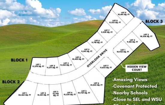 Overlook Drive, Pullman, Washington 99163, 0 , 0 ,0,Land/lots,For Sale,Overlook Drive,0,290694