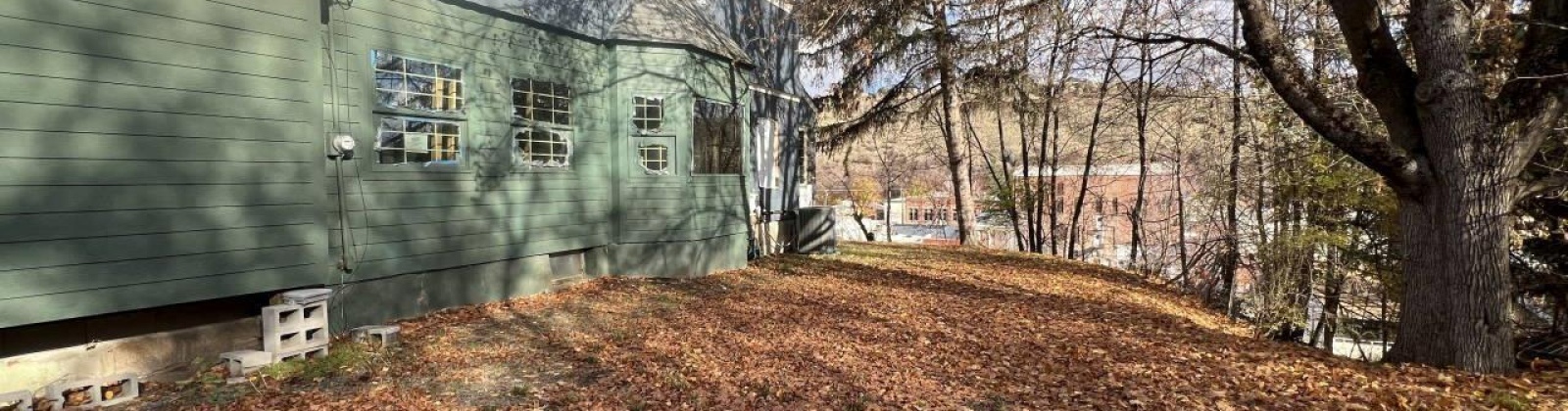 West Street, Colfax, Washington 99111, 4 Bedrooms Bedrooms, 0 ,1 BathroomBathrooms,Houses,For Sale,West Street,0,290904