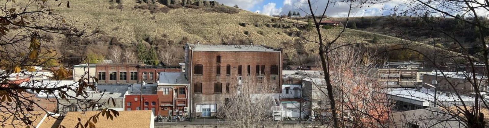 West Street, Colfax, Washington 99111, 4 Bedrooms Bedrooms, 0 ,1 BathroomBathrooms,Houses,For Sale,West Street,0,290904