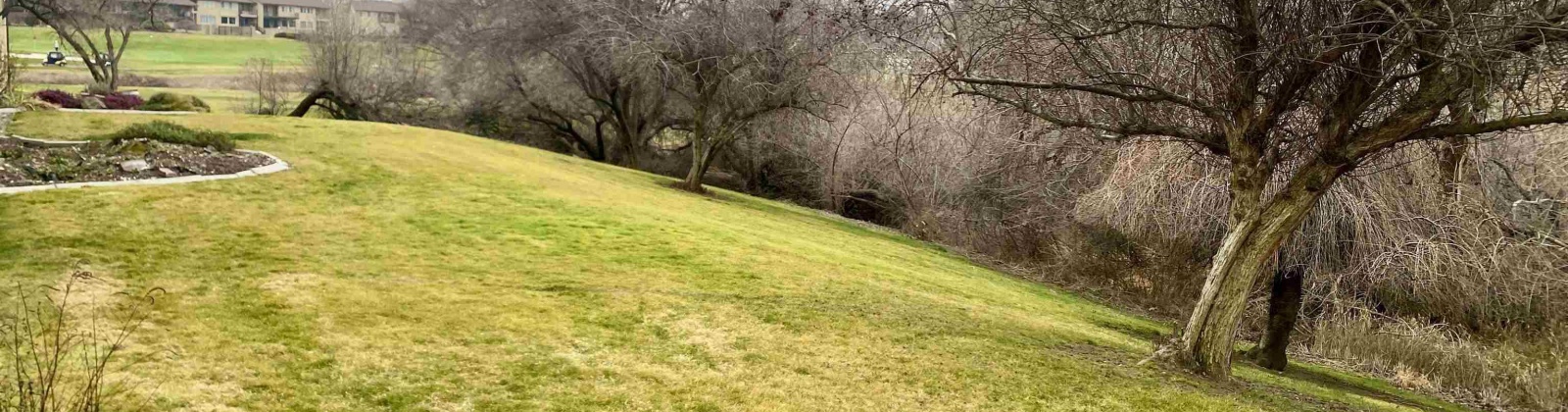 Gage #321, Richland, Washington 99352, 2 Bedrooms Bedrooms, 0 ,2 BathroomsBathrooms,Condos/townhomes,For Sale,Gage #321,0,290907