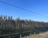 Richards Road., Prosser, Washington 99350, ,Orchard,For Sale,Richards Road.,272531