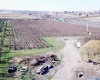 Richards Road., Prosser, Washington 99350, ,Orchard,For Sale,Richards Road.,272531
