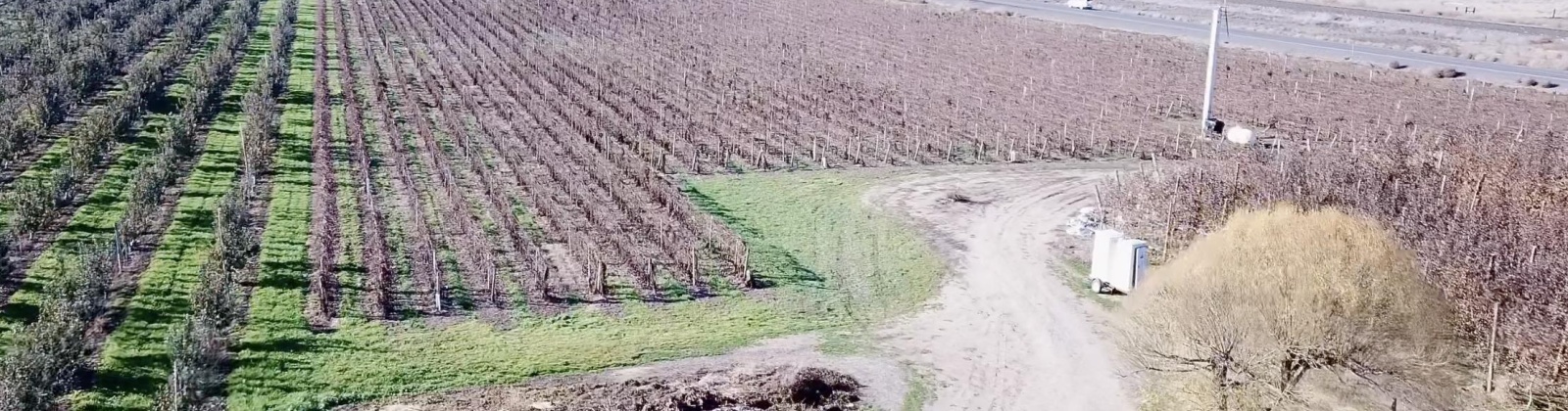 Richards Road., Prosser, Washington 99350, ,Orchard,For Sale,Richards Road.,272531