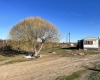 Richards Road., Prosser, Washington 99350, ,Orchard,For Sale,Richards Road.,272531