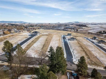 Wallowa, Pullman, Washington 99163, ,Residential,For Sale,Wallowa,250888