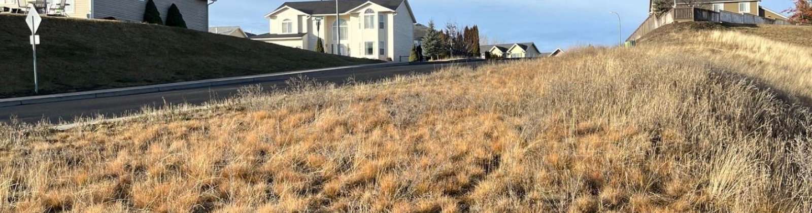 Terre View Dr, Pullman, Washington 99163, ,Residential,For Sale,Terre View Dr,273080
