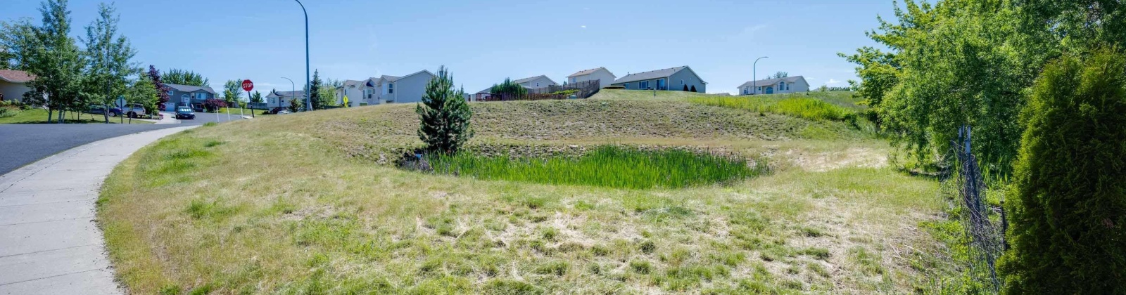 Terre View Dr, Pullman, Washington 99163, ,Residential,For Sale,Terre View Dr,273080