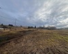 Old Moscow Rd, Pullman, Washington 99163, ,Agricultural,For Sale,Old Moscow Rd,273754