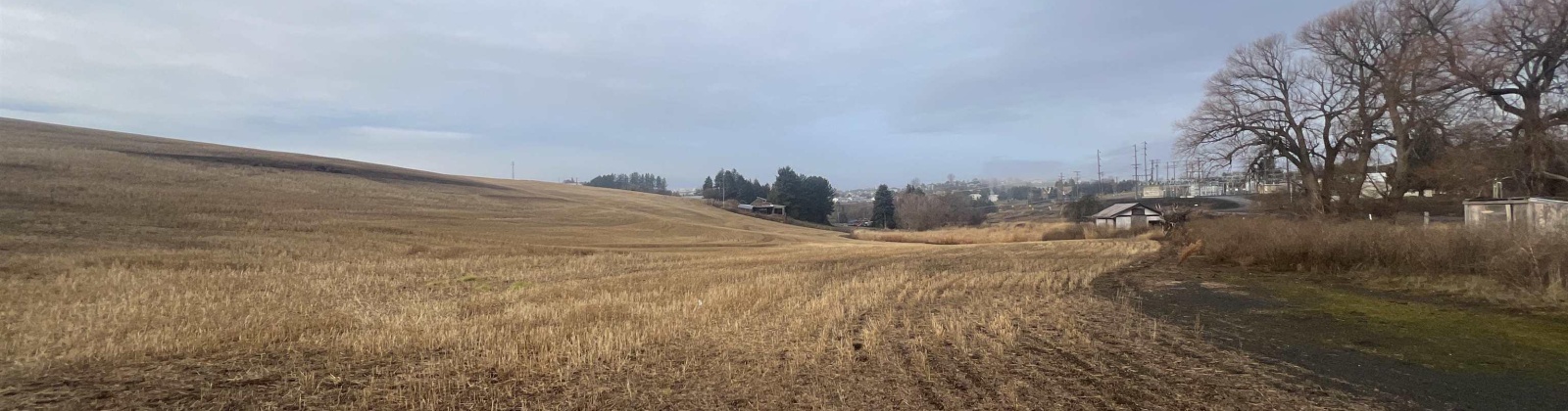 Old Moscow Rd, Pullman, Washington 99163, ,Agricultural,For Sale,Old Moscow Rd,273754