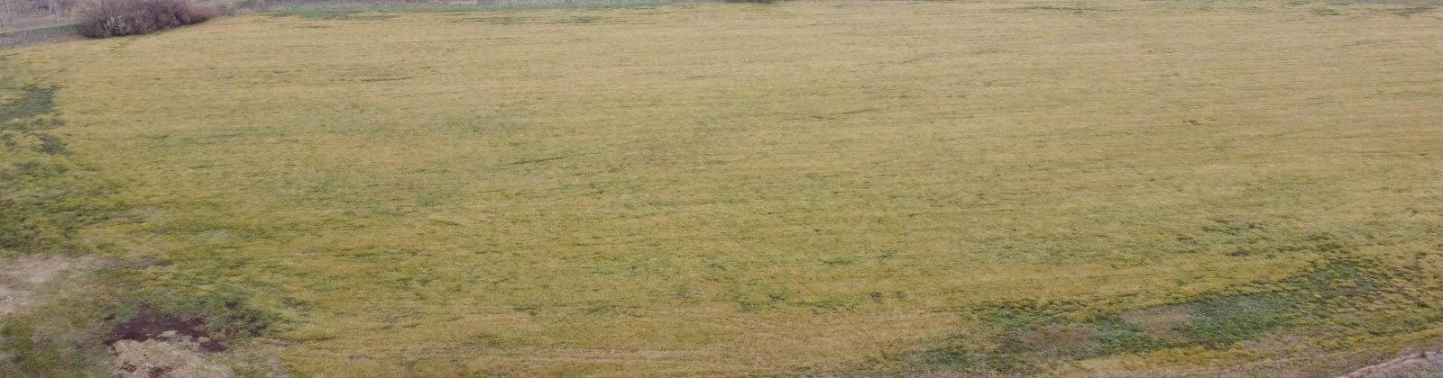 Piert Road, Finley, Washington, ,Commercial,For Sale,Piert Road,272907
