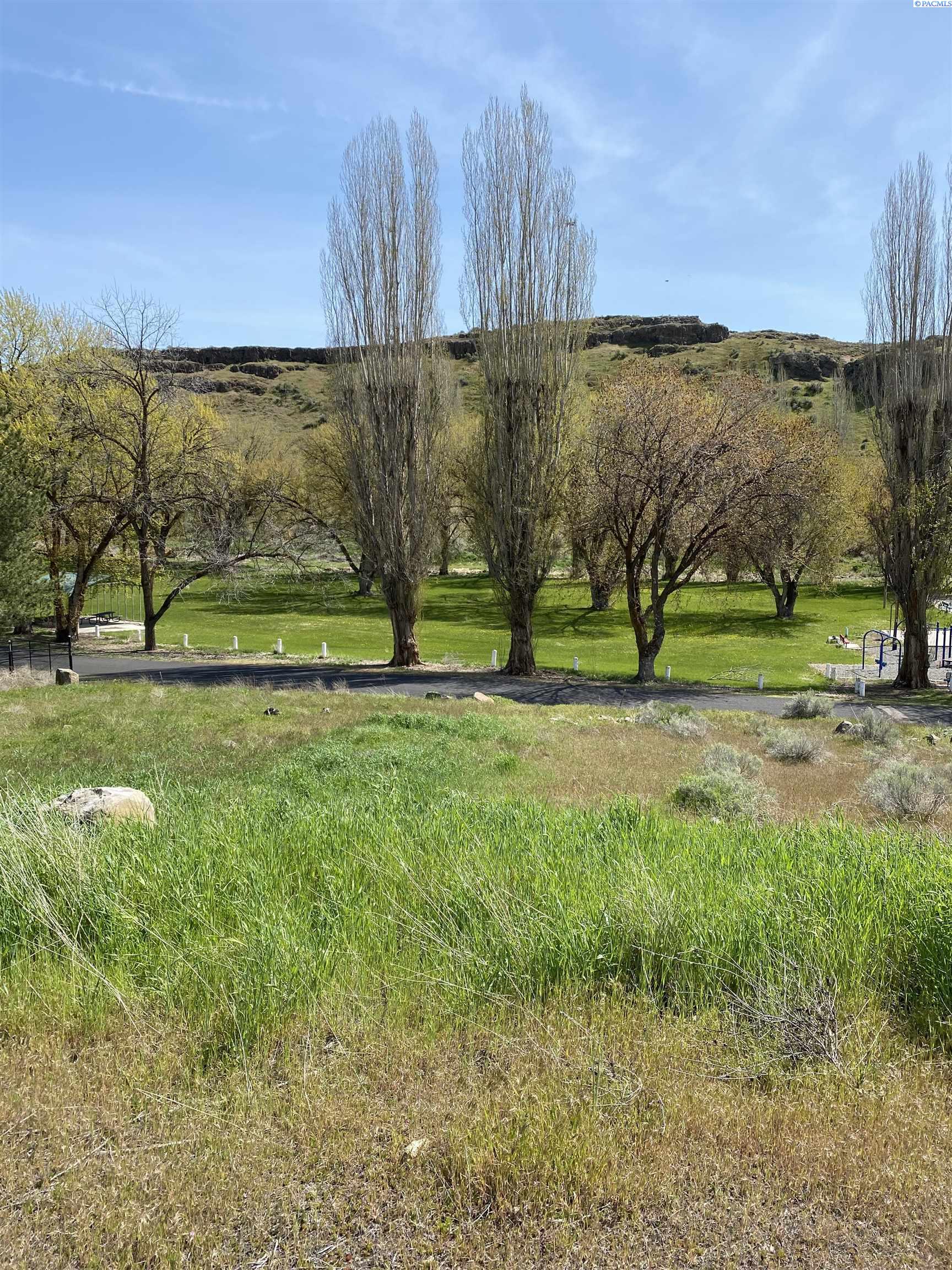 Caldona Ave, Mesa, Washington 99343, 0 , 0 ,0,Land/lots,For Sale,Caldona Ave,0,270208