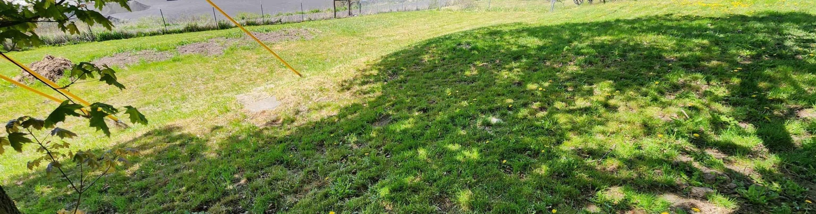 Clifford, Pullman, Washington 99163, 4 Bedrooms Bedrooms, ,2 BathroomsBathrooms,Site Built-owned Lot,For Sale,Clifford,278457