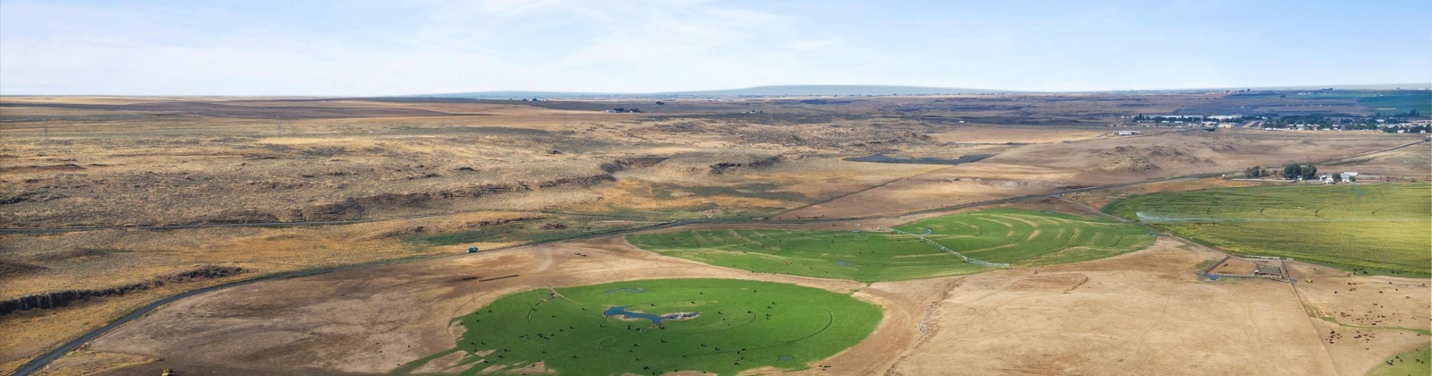 Airport Rd Parcel D, Connell, Washington 99326, ,Agricultural,For Sale,Airport Rd Parcel D,278975