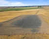 Airport Rd Parcel D, Connell, Washington 99326, ,Agricultural,For Sale,Airport Rd Parcel D,278975