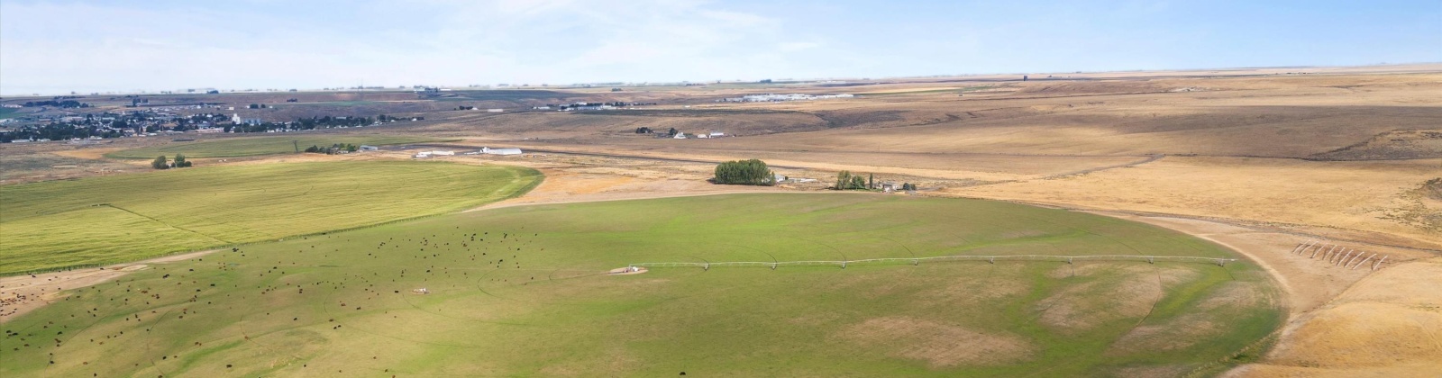 Airport Rd Parcel D, Connell, Washington 99326, ,Agricultural,For Sale,Airport Rd Parcel D,278975