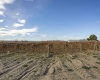 Forsell Road, Grandview, Washington 98930, ,Residential,For Sale,Forsell Road,279852