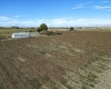 Forsell Road, Grandview, Washington 98930, ,Residential,For Sale,Forsell Road,279852