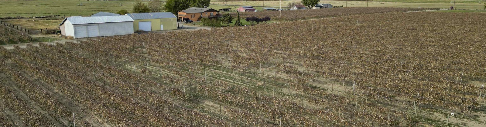 Forsell Road, Grandview, Washington 98930, ,Residential,For Sale,Forsell Road,279852