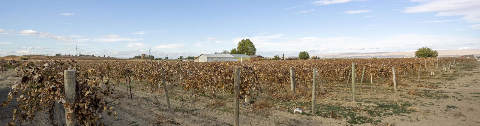 Forsell Road, Grandview, Washington 98930, ,Residential,For Sale,Forsell Road,279852