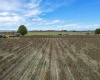 Forsell Road, Grandview, Washington 98930, ,Residential,For Sale,Forsell Road,279852