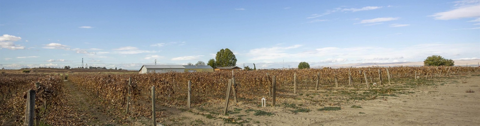Forsell Road, Grandview, Washington 98930, ,Residential,For Sale,Forsell Road,279852