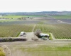 Phipps Rd., Sunnyside, Washington 98944, ,Orchard,For Sale,Phipps Rd.,279946