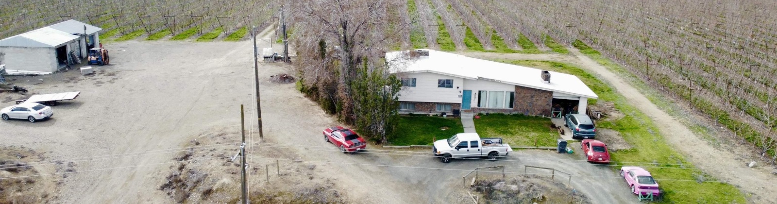 Phipps Rd., Sunnyside, Washington 98944, ,Orchard,For Sale,Phipps Rd.,279946