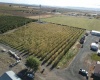 Lateral B Road, Wapato, Washington 98951-0000, ,Orchard,For Sale,Lateral B Road,280153
