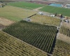 Lateral B Road, Wapato, Washington 98951-0000, ,Orchard,For Sale,Lateral B Road,280153